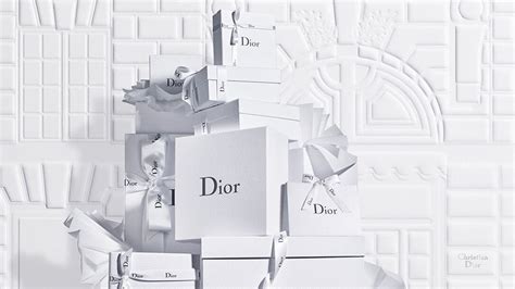 dior fasungen|dior official website uk.